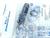 datasensor-s50-pa-5-b01-pp-952001020-rrx-pol-1030vdc-m12-unused-und-ovp-80946-2.jpg