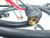 fronius-4047557000-robacta-drive-cmt-pap-wf625m122m-top-zustand-78247-4.jpg