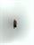 ifm-kn5107-kn5-107-kapazitiver-sensor-knq01nukfpkgas-top-zustand-79888-3.jpg