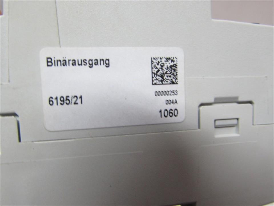 busch-jaeger-619521-binaerausgang-10a-24v-10ma-ip20-unbenutzt-ovp-72150-3.jpg