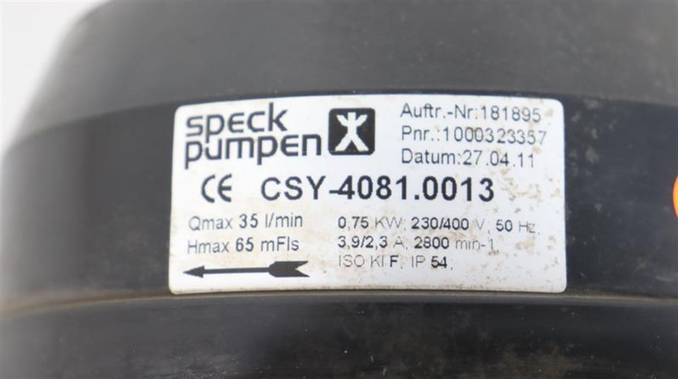 speck-pumpen-csi-40810013-peripheralradpumpe-57447-3.jpg